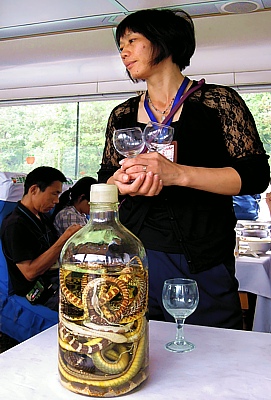 Chinese Snake schnaps or liquor offered on the Li river boat trip