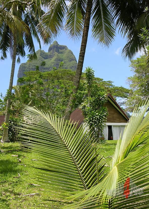 Holiday home on Moorea