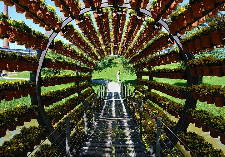 Flowertunnel in the VW Autocity