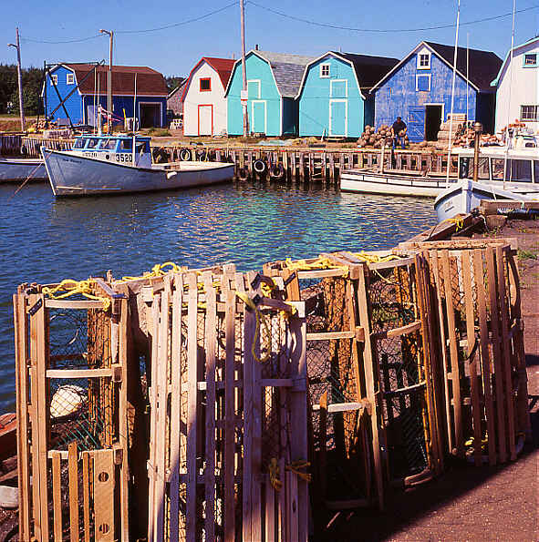 Fishermans houses on Prinz Eduard Island