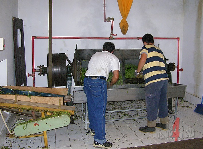 Nostalgische Teefabrik auf So Miguel