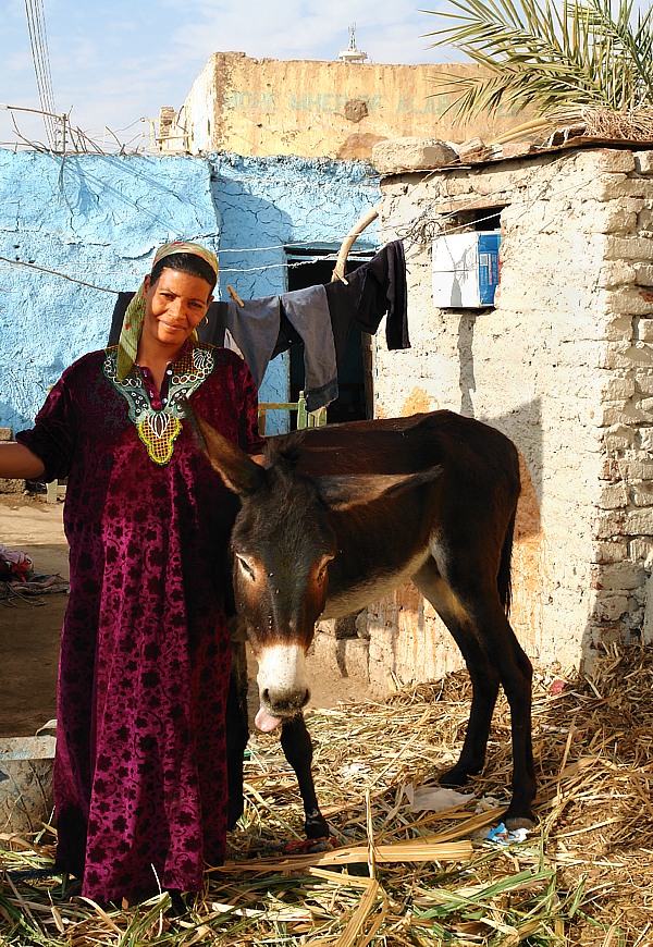 Egyptian countrywoman with her donkey