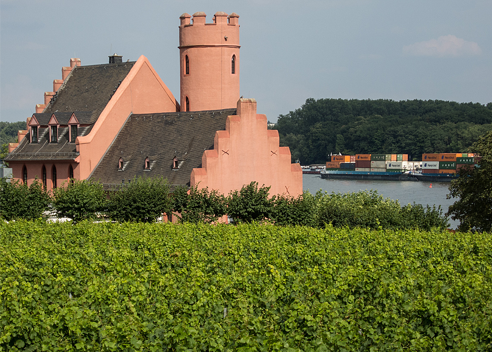 Eltville Burg Crass Weinstube Gelbes Haus am Rhein