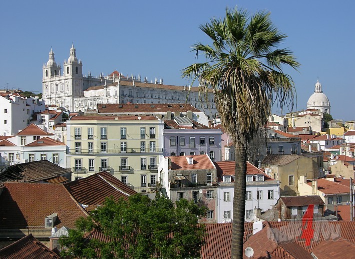View from Miradouro Santa Lucia down to the historic city centre