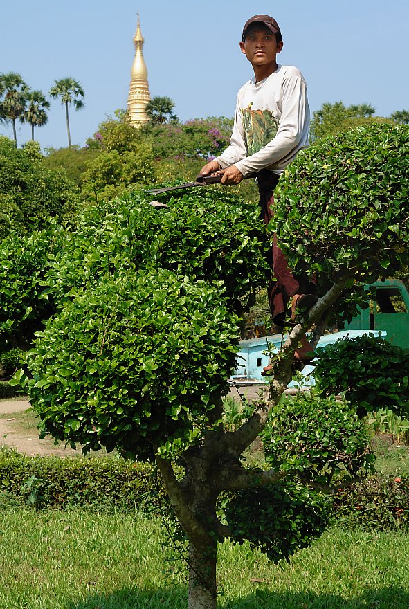 Gardenworker in Yangon