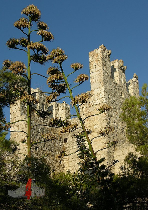 Middle aged castle upon Hvar