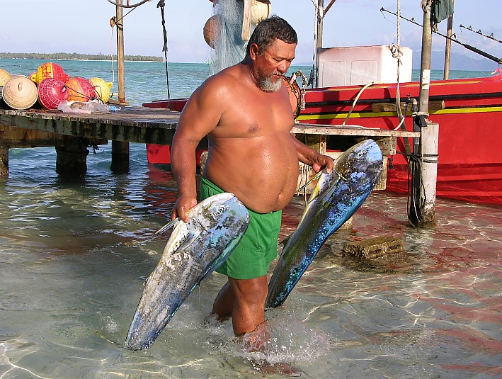 Polynesian fisher with rich catch