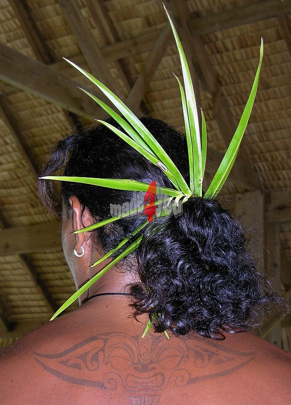 Polynesian headdress of Alphonse