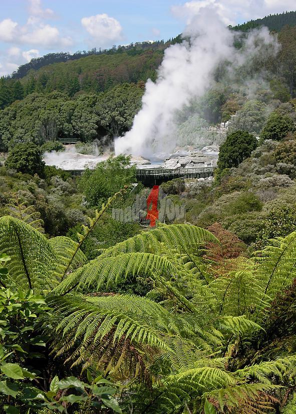 Geysire in Waiotapu Thermal Wonderland