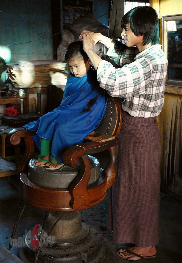 Kleiner Burmese beim Friseur
