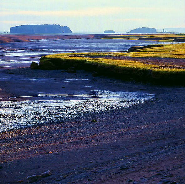 Low tide in the Fundy Bay