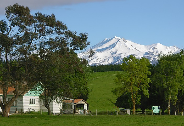 Farm in Tongariro National Park