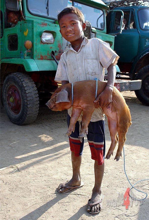 Poor boy with lucky pig in Thazi