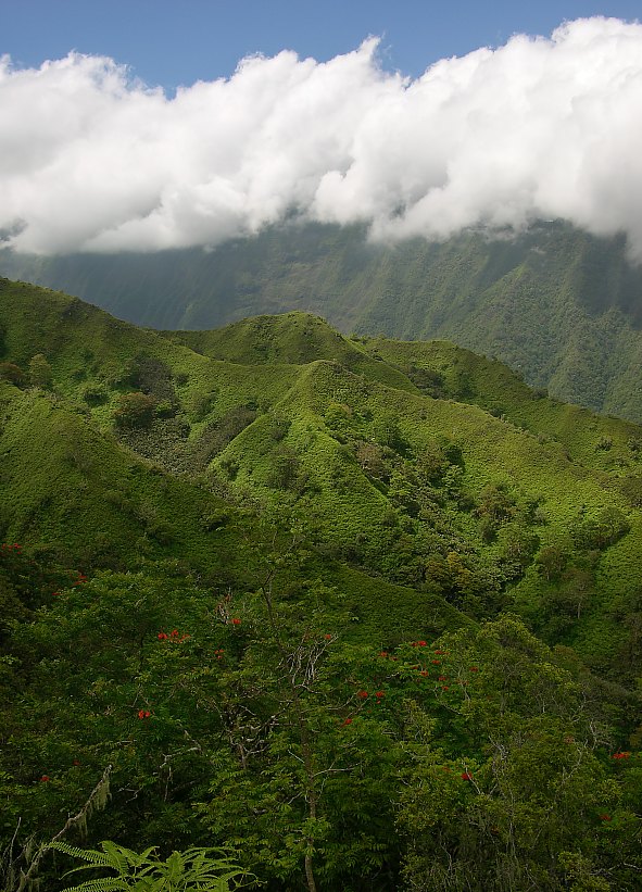 Tahitis Bergwelt