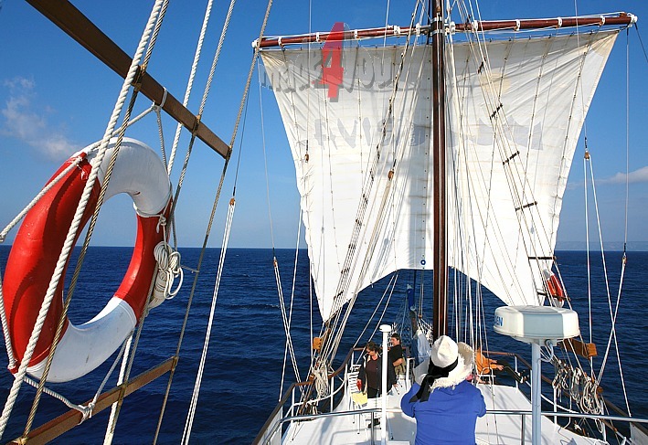 The ship Petrina under sailes