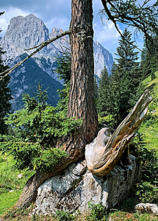Klausbach valley in Nationalpark Berchtesgaden