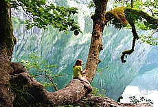 Fee im Zauberwald am Obersee des Knigssees