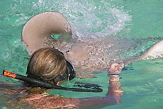 Swimming with Mantas
