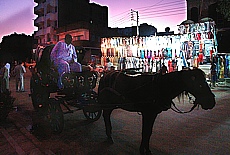 Nighttime horse cart tour to Edfu Temple