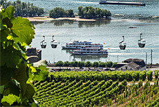 Rushhour auf dem Rhein