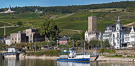 Rheinschifffahrt von Ruedesheim zur Loreley