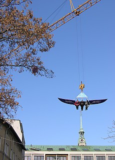 Hover on crane hook