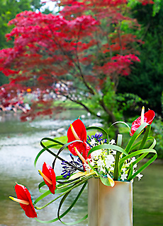Japanische Blumenkunst Ikebana am Japanfest in Mnchen