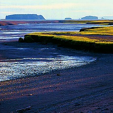Low tide in the Fundy Bay