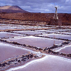 Salt mining near Janubia beach