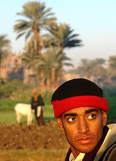 Egyptian farmer on his field