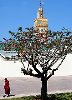 Knigspalast in Rabat