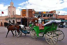 Pferdekutsche am Platz der Gehngten in Marrakesch