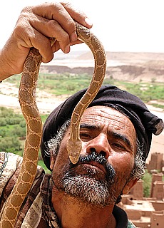 Marokkanischer Schlangenbeschwrer in der Kasbah Ait Ben Haddou