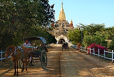 Horse carts infront of Ananda Temple in Bagan