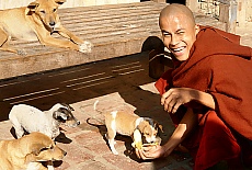 Monk in Mahagandhayon Monastery