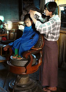 Kleiner Burmese beim Friseur