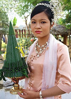 Burmese Beauty on the novices festival