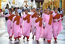 Novice monks at Shwedagon Pagoda