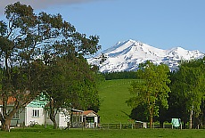 Farm in Tongariro National Park