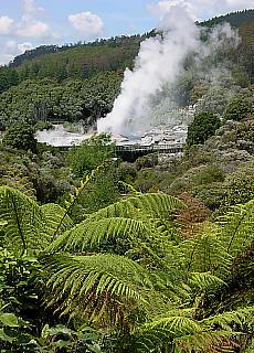 Geysire in Waiotapo Thermal Park