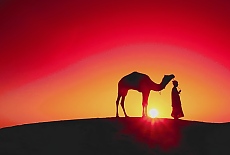 Egypt Camel driver in desert