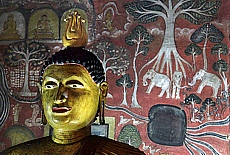 Cave temple in Dambulla