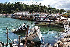 Fishing harbour in Weligama