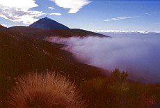 Teide volcano seen from Laguna