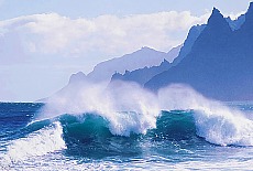 Monster waves at Punta del Hidalgo