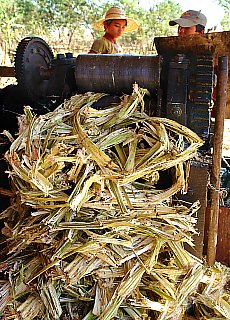 ancient sugarcane press